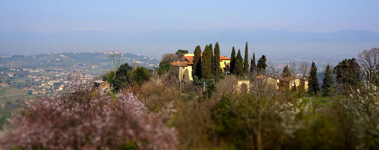 Agriturismo Frigionaia Carmignano Ngoại thất bức ảnh